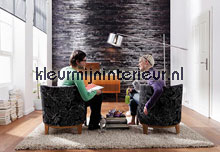  Birkenrinde fouwtouwbehaang _intrieur